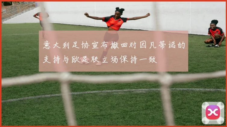 意大利足协宣布撤回对因凡蒂诺的支持与欧足联立场保持一致