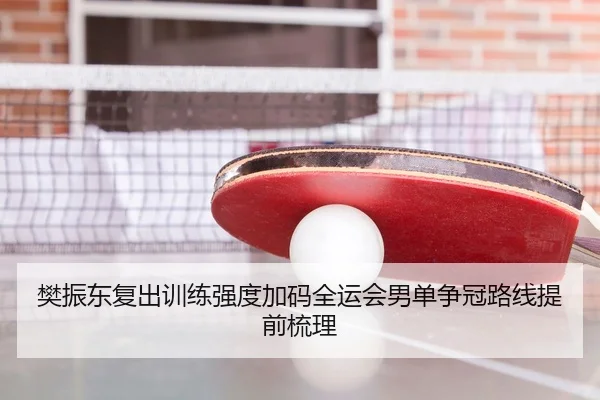 樊振东复出训练强度加码全运会男单争冠路线提前梳理